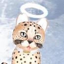 Thumb 622de0756ee2e9491edadf0f