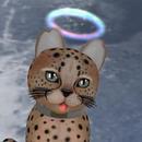 Thumb 622de09798366d78b1423edf