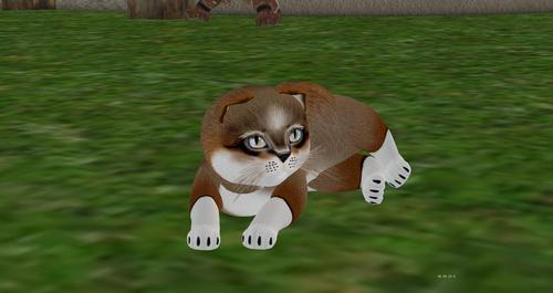 Web 59e86ab373ed17618a000001