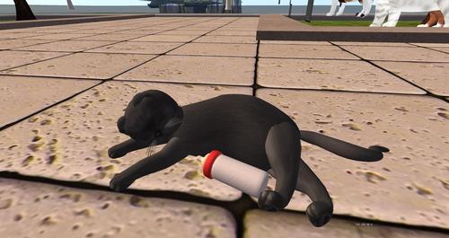 Web 59eb65e7d774f83850000001