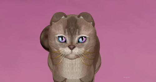 Web 59eb8889289dd25e98000001