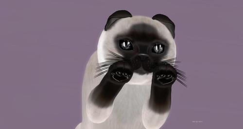 Web 59ecb7e073ed1713ea000001