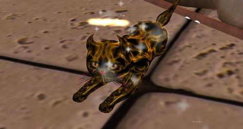 Web 59edf2a6d774f82b19000001