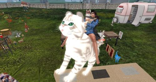 Web 59f3ab42d9859c2b5f000001