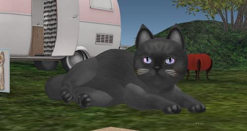 Web 59f3e31973ed17359b000001