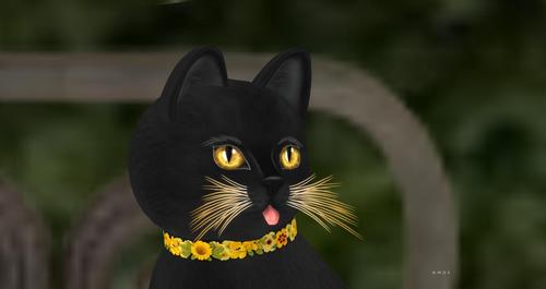 Web 59f4b65473ed174885000001