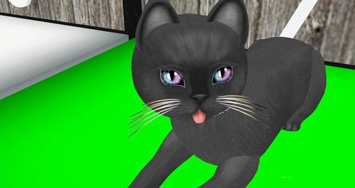 Web 59f8ed2dd774f83e0a000001