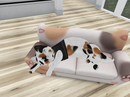 Web 5bbcb005289dd21f40000001