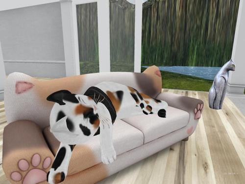 Web 5bbcb0c2289dd22624000001