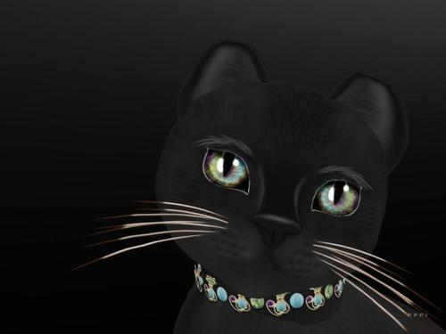 Web 5c011d7c289dd24113000001