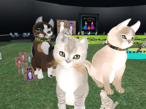 Web 5c6b65b9d9859c4811000001