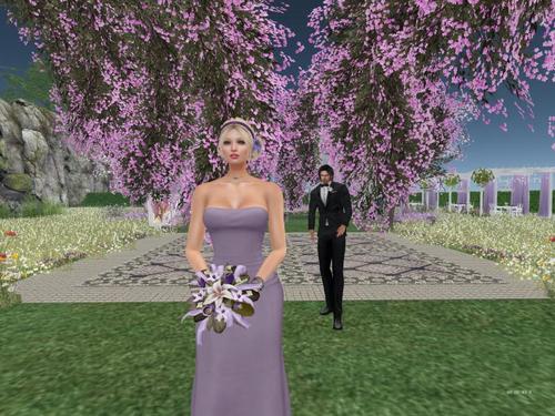 Web 5c71ccabd774f866c0000001