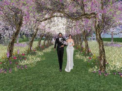 Web 5c71ce3ad774f87115000001