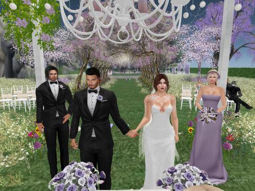 Web 5c71ce4573ed171f92000001