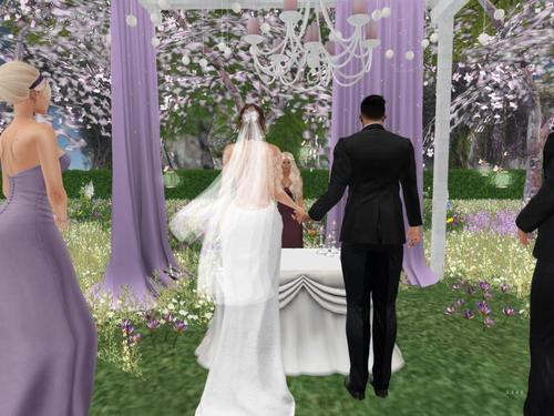 Web 5c71ce45d774f87471000001