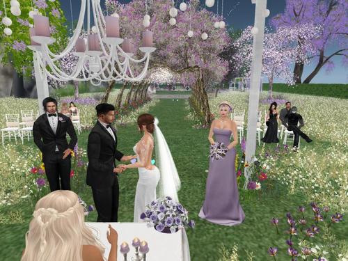 Web 5c71cea673ed172891000001