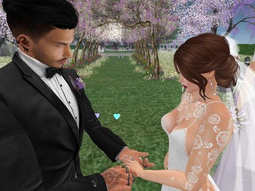 Web 5c71cfbb73ed172f0f000001