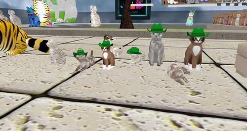 Web 5c9111cad774f80d62000001