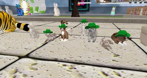 Web 5c9111dad774f80eb8000001