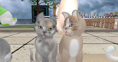 Web 5c91a305d9859c4b98000001