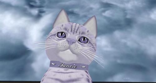 Web 5c97f9f1d774f87b0c000001