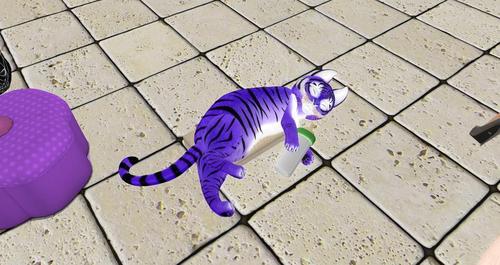 Web 5c9fb48073ed171477000001