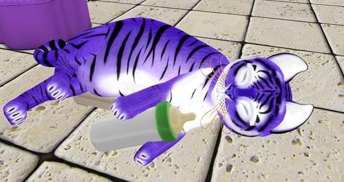 Web 5c9fb518d9859c6e3a000001