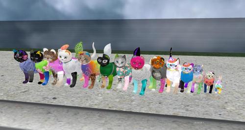 Web 5cacbc65289dd24f0e000001