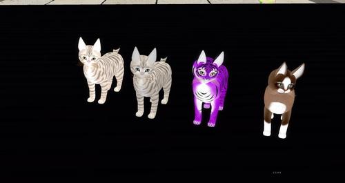 Web 5cb9e10873ed172289000001