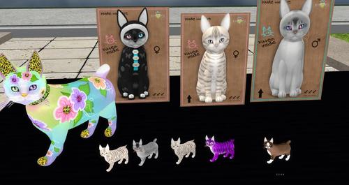 Web 5cba215ad9859c2b32000001