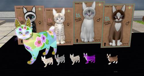 Web 5cba224ed9859c3413000001