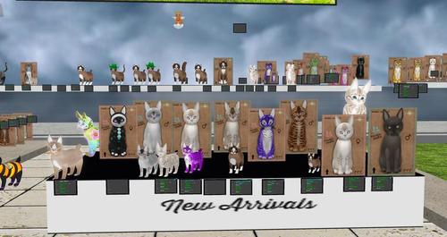 Web 5cbed9cf289dd2035c000001