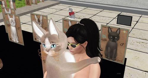 Web 5cc079cbd774f81da5000001