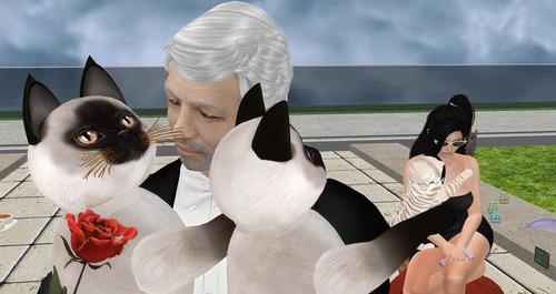 Web 5cc0ae6e289dd20829000001