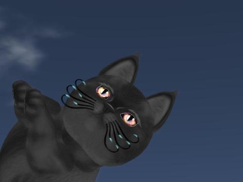 Web 6104e078bfa39c33e61fd50d