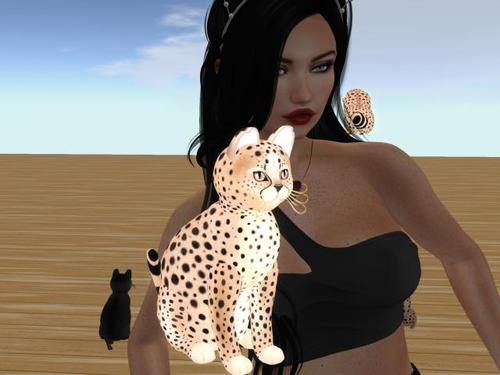 Web 611d3392969a6619ac2d3d39