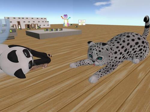 Web 612101bdcd26f424e4f05a79