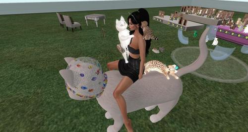 Web 6125023bf205567e188d0258