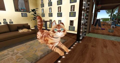 Web 6126520ccd26f42d51f05a79