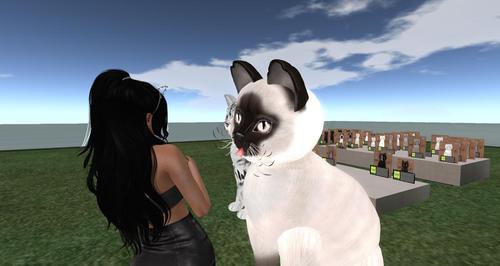 Web 6132494de0825c5f7041f035