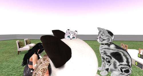 Web 6133eb3eb7bb335c9caa2728