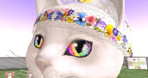 Web 6140ace999d9b47c47234799