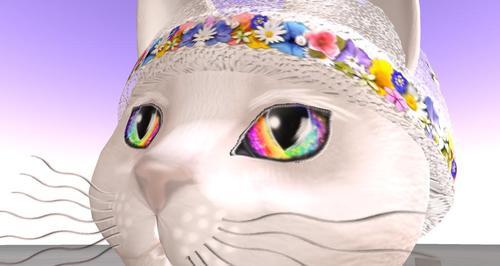 Web 6140ad99b7bb33647caa2728