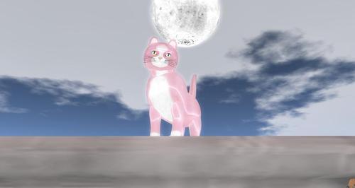 Web 617d9219a4e6d36ad51c6fcf