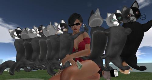 Web 617d98b45c4aff437aff7eba