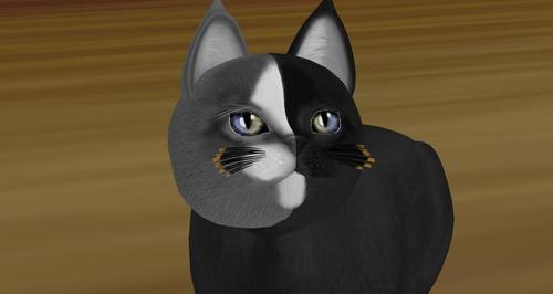 Web 62092cbcea5e0e6dfbbe1aa9