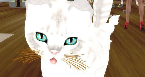 Web 621cd946b085a4619ded4a29