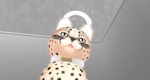 Web 622ddfff7b8dd73f97656877