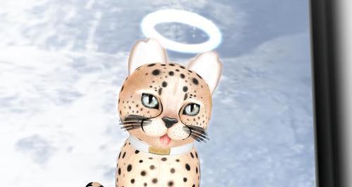 Web 622de0756ee2e9491edadf0f