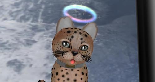 Web 622de09798366d78b1423edf